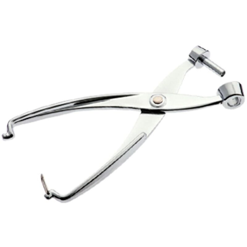 foto del prodotto louis tellier cherry olive stoner in acciaio inox.