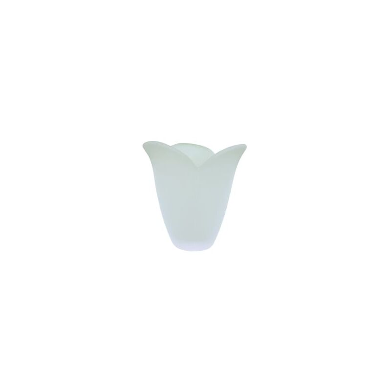 foto del prodotto ltde tulipano di vetro mini afrodita 5.5x6cm