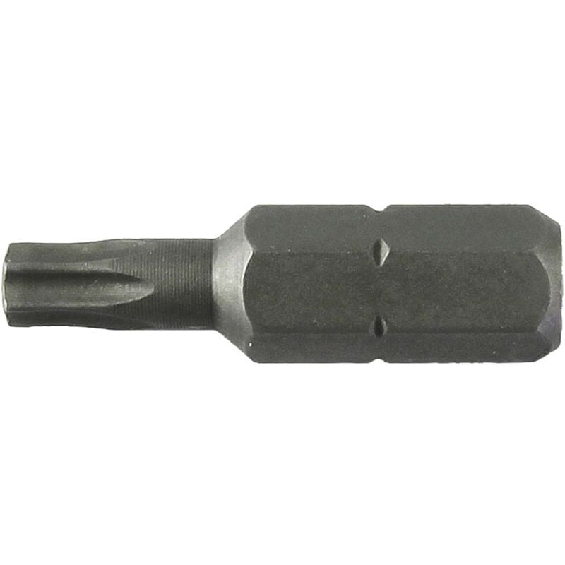 foto del prodotto lti inserto torx 25 mm t07 m 2,0 10 pz