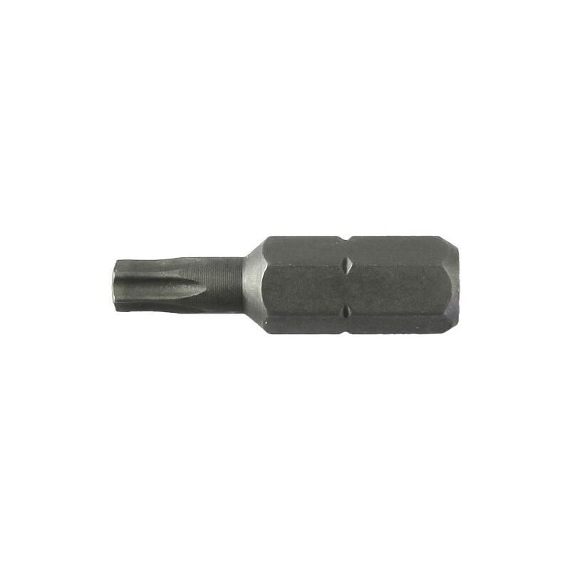 foto del prodotto lti inserto torx 25 mm t07 m 2,0 10 pz