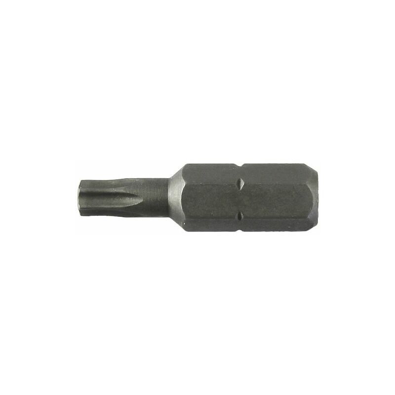foto del prodotto lti inserto torx 25 mm t08 m 2,5 10 pz