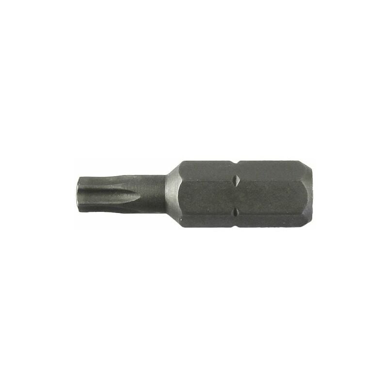 foto del prodotto lti inserto torx mm. 25 gr.t10 m 3,0