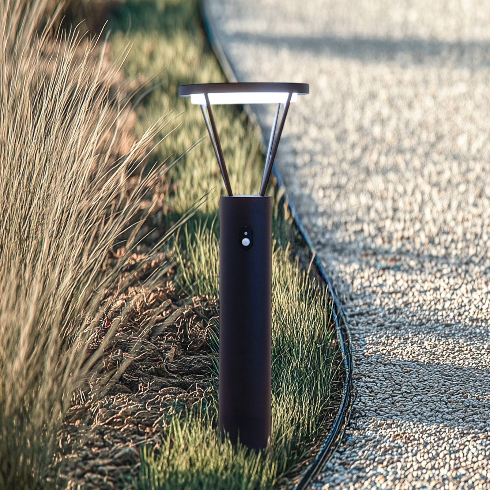 foto del prodotto lucande lampada solare a led per vialetto elario, 80 cm, cct, sensore