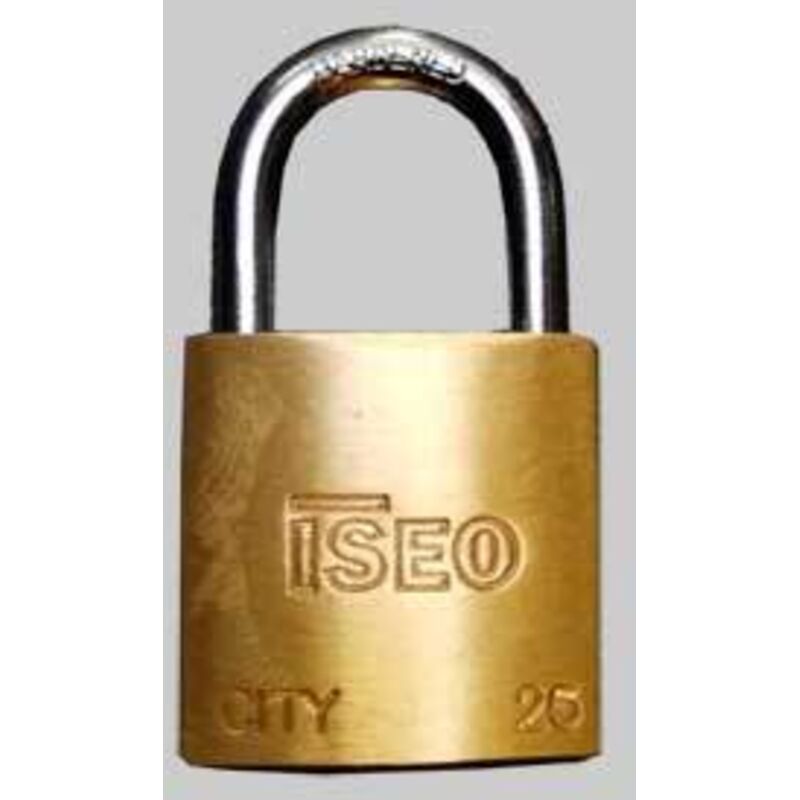 foto del prodotto lucchetto ad arco standard aditus iseo 30 mm