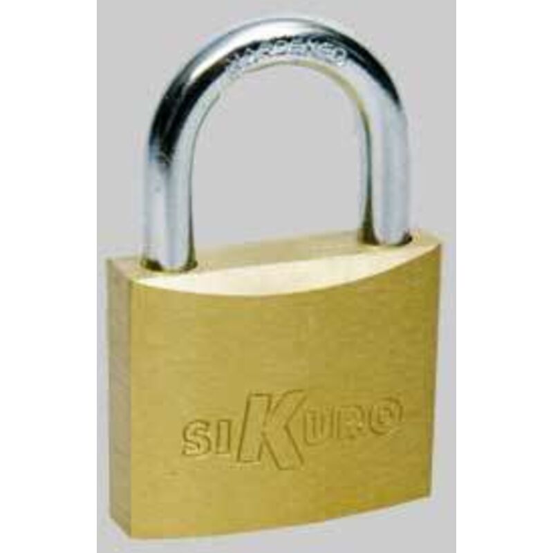 foto del prodotto lucchetto ad arco standard sikuro 40 mm