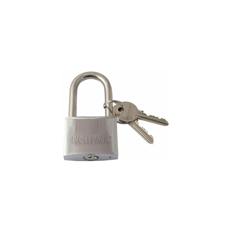 foto del prodotto lucchetto in acciaio inox ad arco lungo 30 mm.
