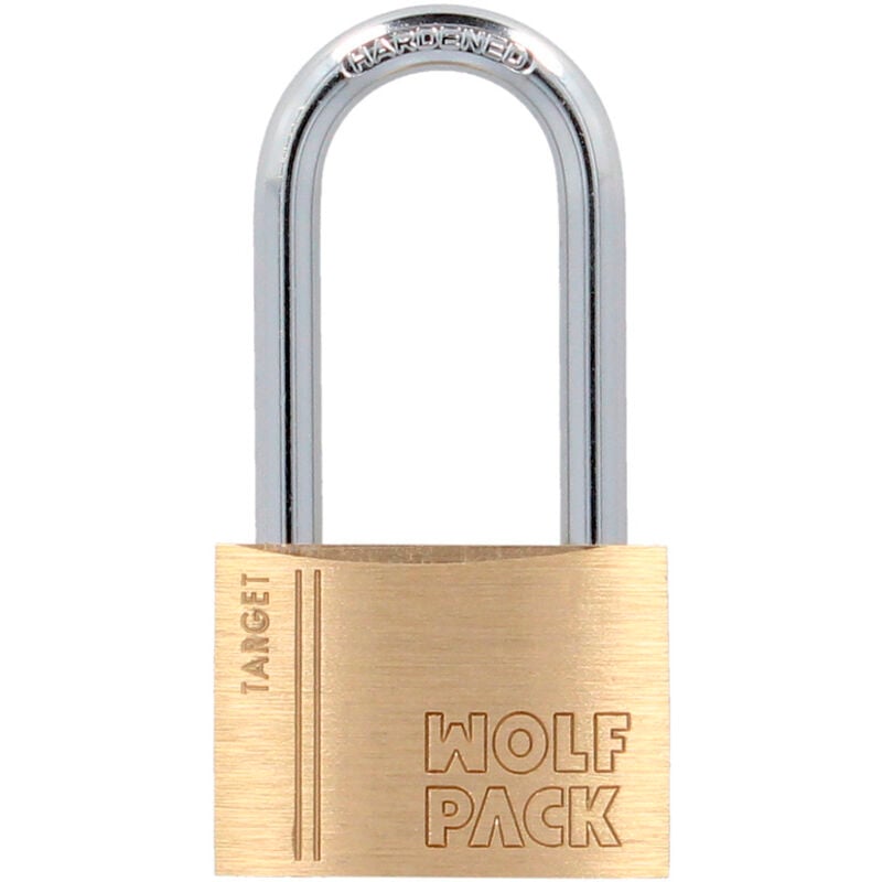 foto del prodotto lucchetto in ottone arco lungo 50 mm. arco temprato. lucchetto per valigie, lucchetto per armadietti, lucchetto per porte, lucchetto per porte.