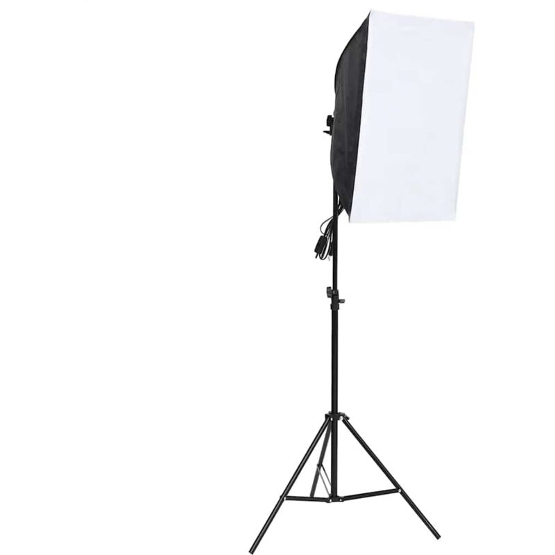 foto del prodotto luce professionale da studio 60x40 cm vidaxl