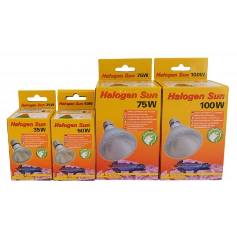 foto del prodotto lucky reptile halogen sun lampada alogena attacco e27 per rettili wattaggio riscaldatori e lampade terrario 35w