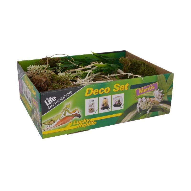 foto del prodotto lucky reptile life experience deco set mantis decorazioni insetti tropicali