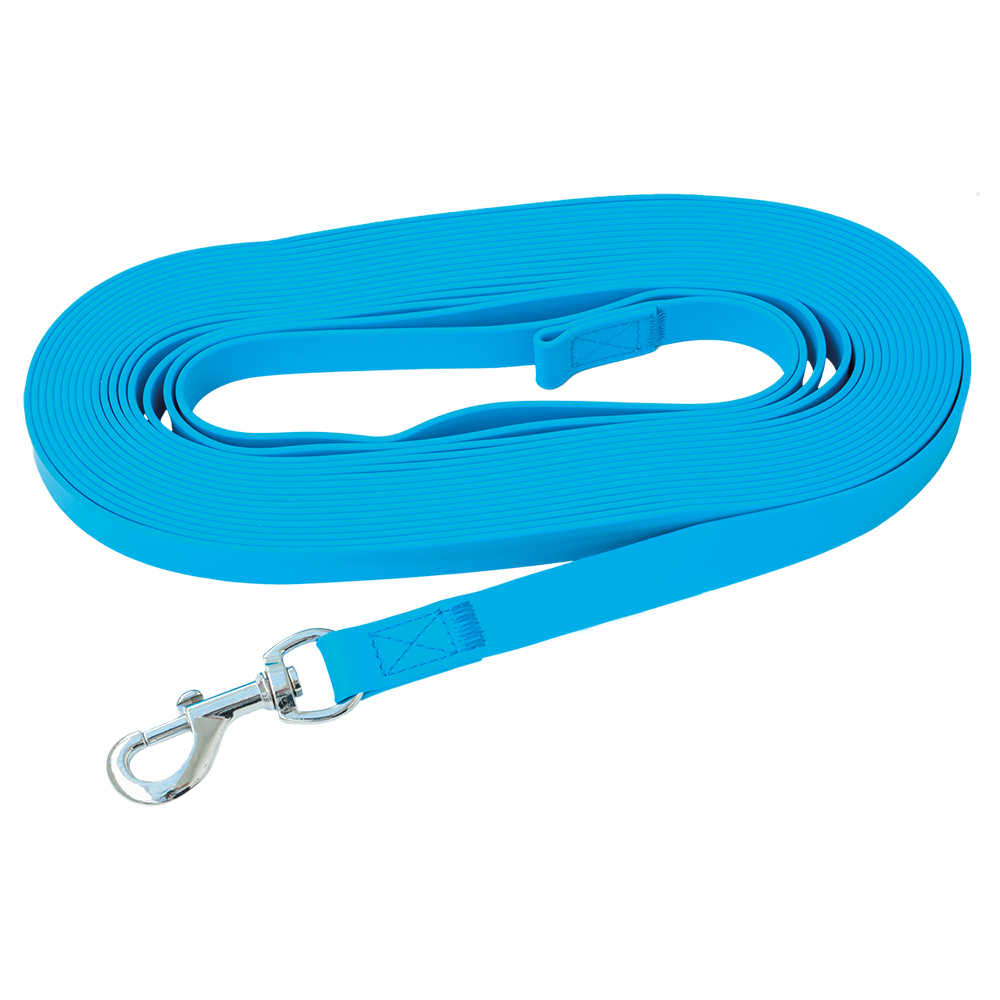 foto del prodotto lunghina per cani pawz &amp; pepper strong, blu - l 10 m x h 2 cm