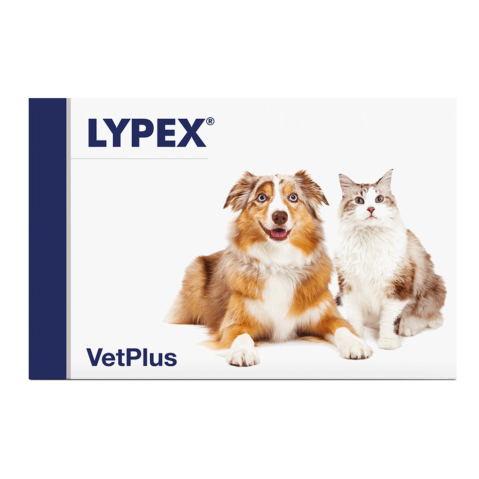 foto del prodotto lypex 60 capsule