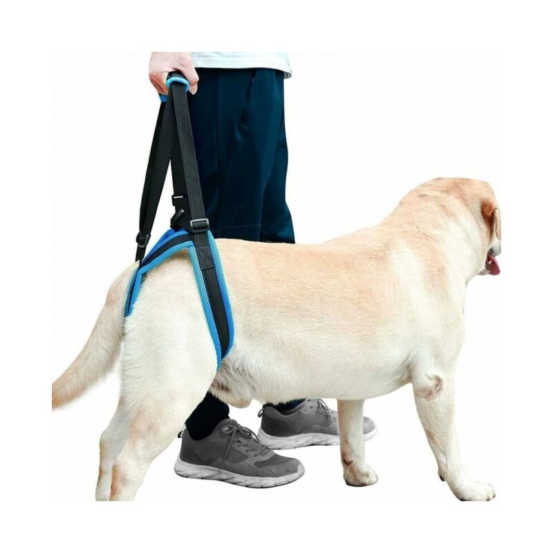 foto del prodotto m imbragatura di supporto per cani, comoda e traspirante, imbracatura di supporto anteriore e posteriore, adatta per cani di piccola e grande