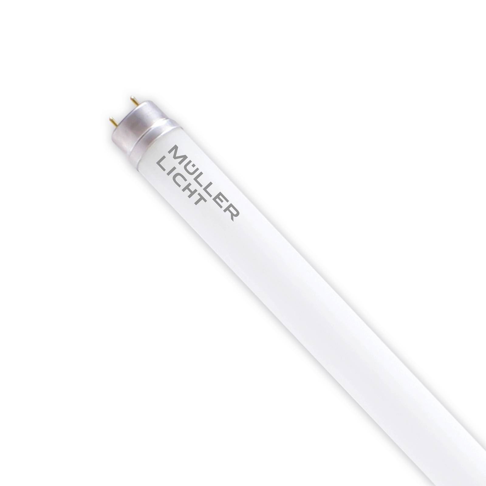 foto del prodotto m ller licht lampadina tubolare g13 15,6 w 120 cm 6.500 k 2.500 lm