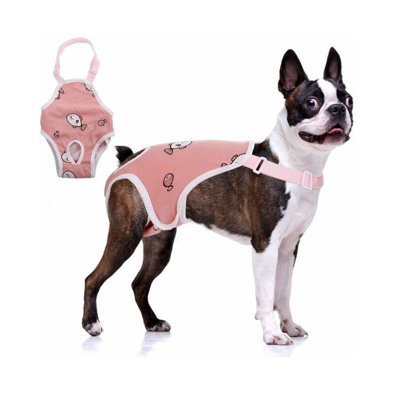 foto del prodotto m mutandine sanitarie con sospensione, pantaloni fisiologici per animali domestici, biancheria intima femminile comoda e regolabile, slip in cotone