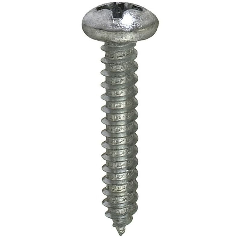 foto del prodotto madidef masidef connex 12 viti autofilettate testa cilindrica zincate 5,5x19mm
