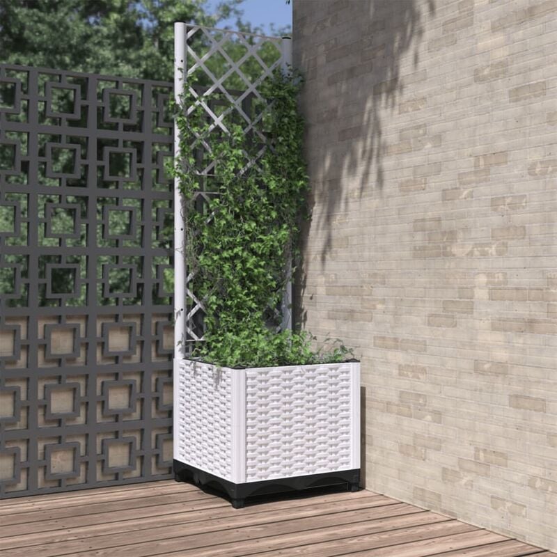 foto del prodotto maison exclusive furniture limited fioriera da giardino con graticcio bianco