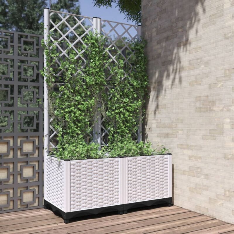 foto del prodotto maison exclusive furniture limited fioriera da giardino con graticcio bianco