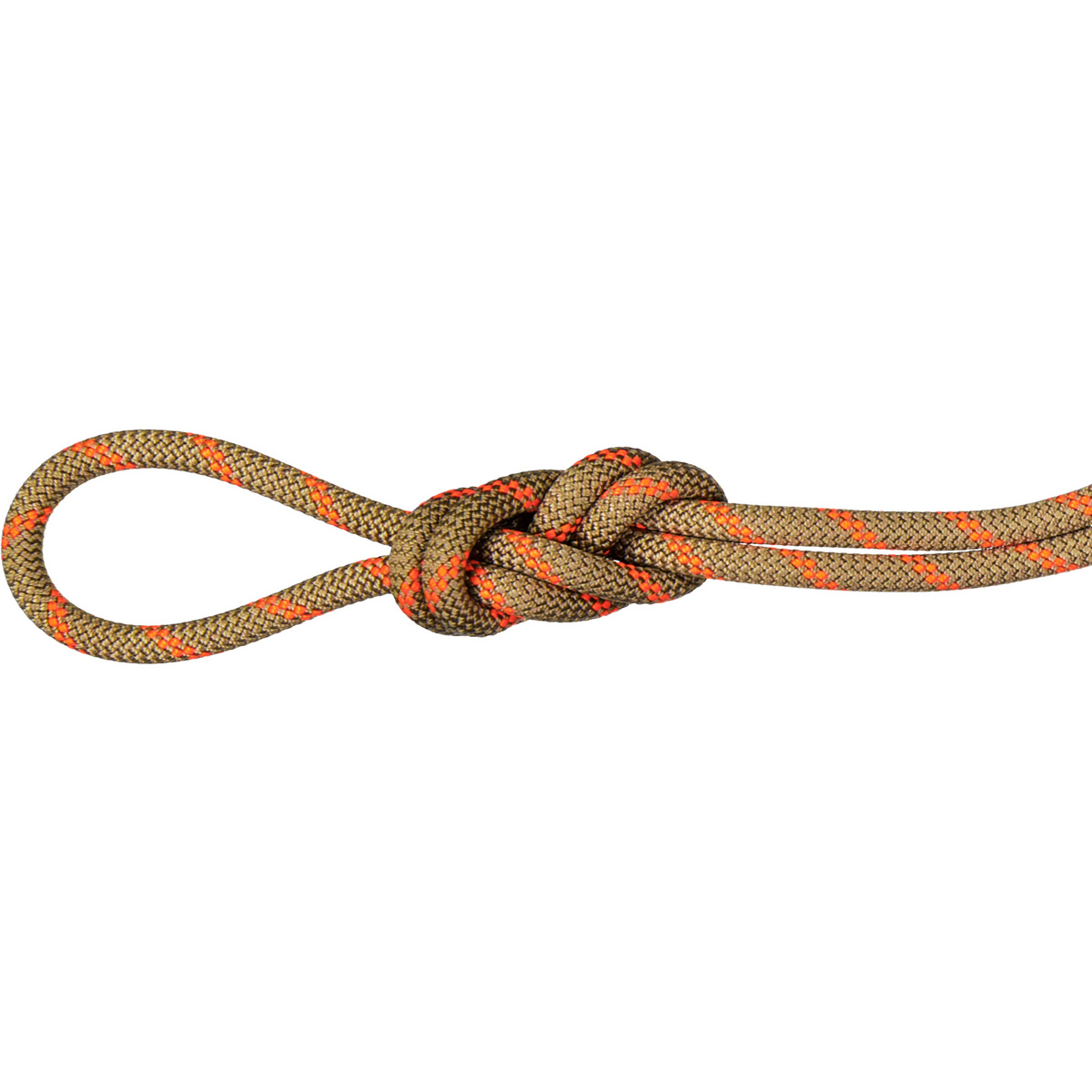 foto del prodotto mammut corda da arrampicata 8.0 alpine dry