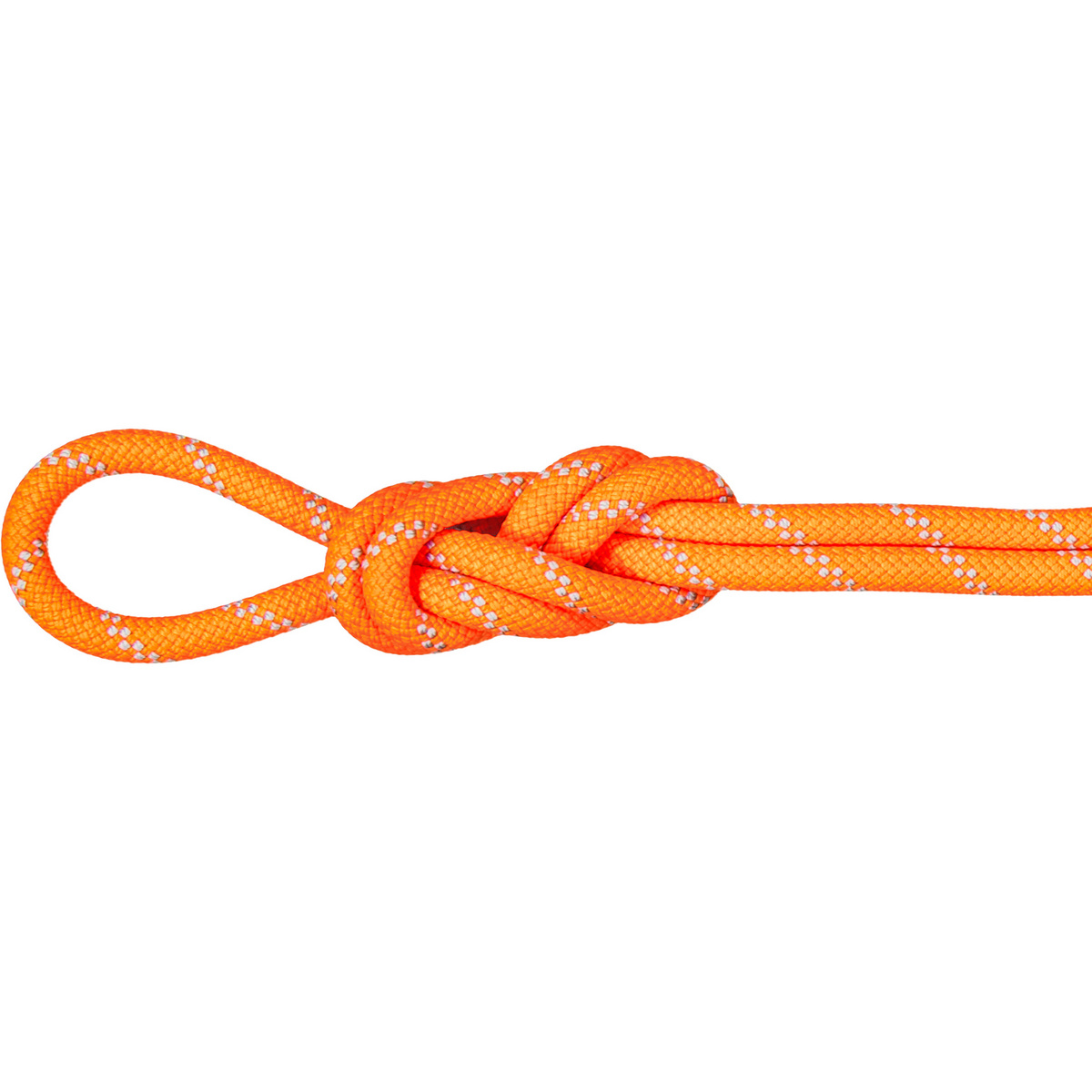 foto del prodotto mammut corda da arrampicata 9.5 alpine dry