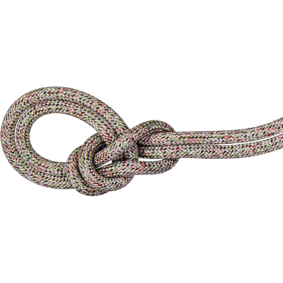 foto del prodotto mammut corda da arrampicata 9.5 crag we care classic