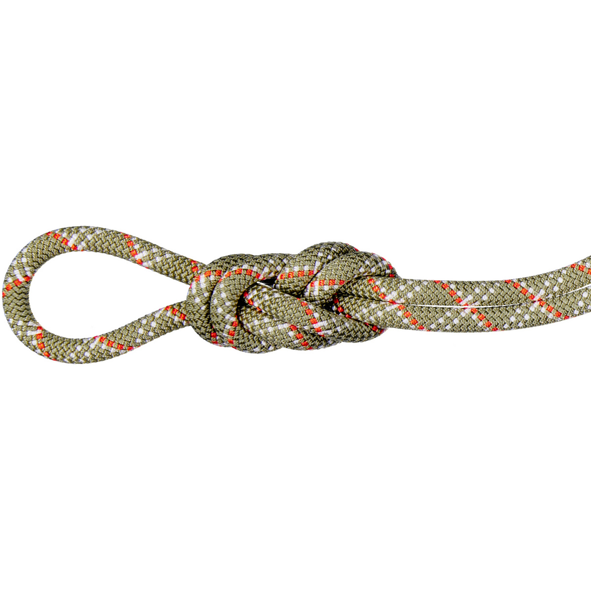 foto del prodotto mammut corda da arrampicata 9.5 gym classic