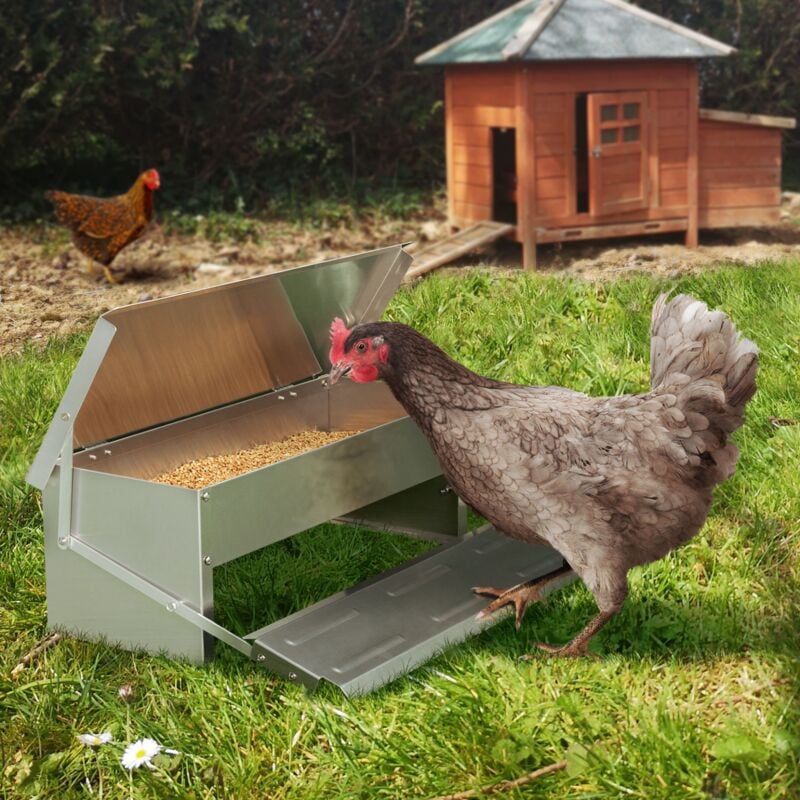 foto del prodotto mangiatoia per polli xl con mangiatoia automatica a pedale in acciaio da 5 kg