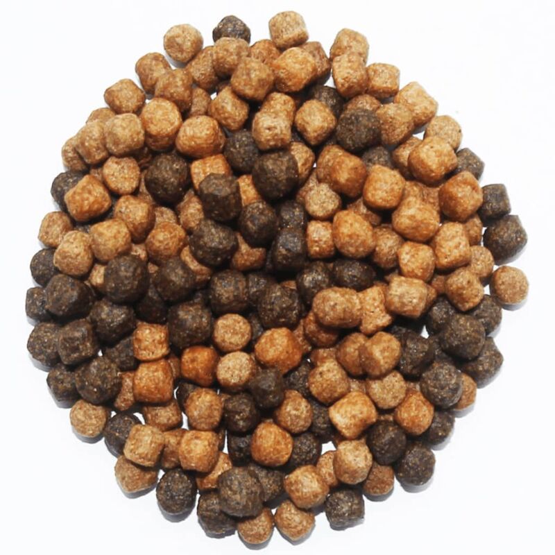 foto del prodotto mangime per pesci heiko koi colour menu 3 mm 3 l ubbink