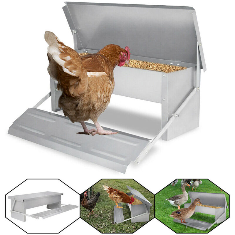 foto del prodotto mangimi per galline mangiatoia automatica distributore di mangime feedomatic con piastra a gradini per 5 kg di mangime, mangiatoia per galline,