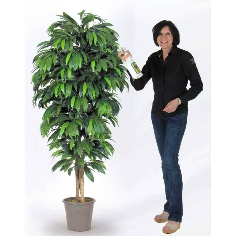 foto del prodotto mango seminaturale verde tronco mansanisi uvr 125