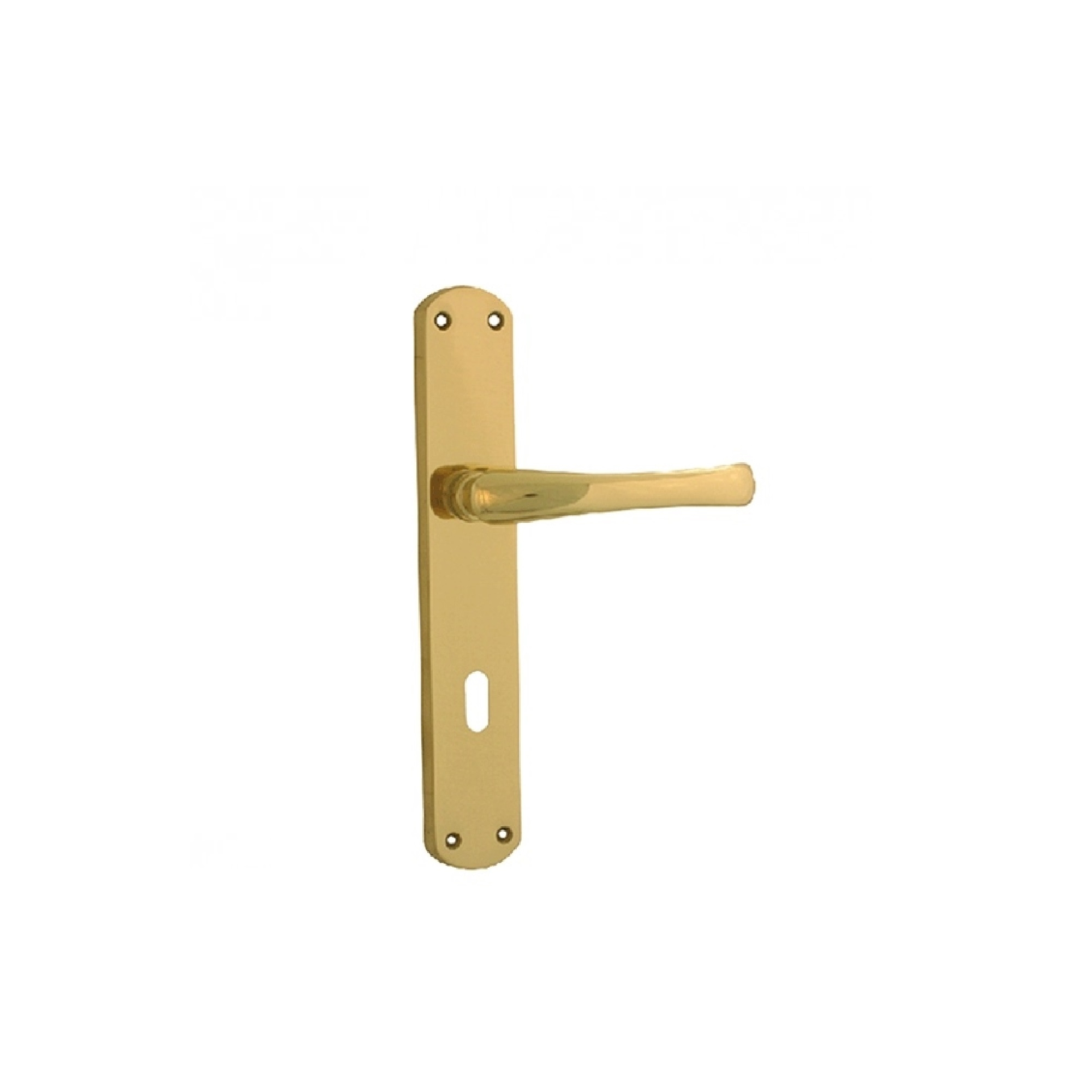 foto del prodotto maniglia capri forme con placca in ottone e finitura lucida, foro q8 patent q 8 x 70