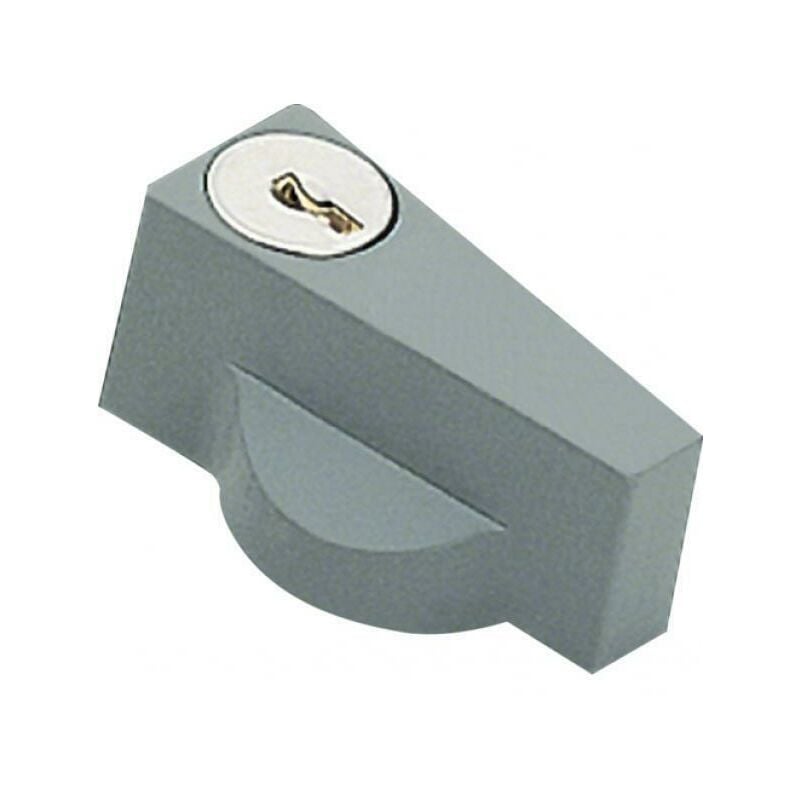 foto del prodotto maniglia chiave orion plus ral7046 fl96z hager