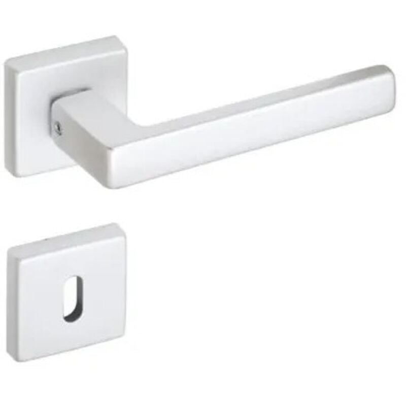 foto del prodotto maniglia dub. all arg. con ros. patent quadra