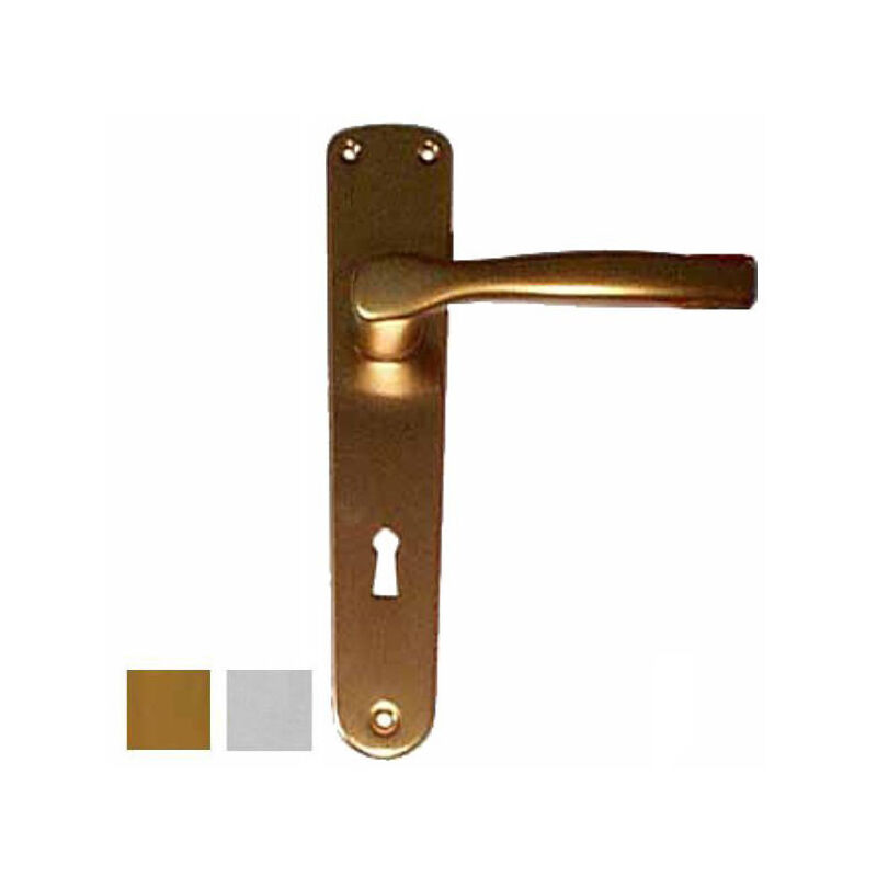 foto del prodotto maniglia gabry all arg placca 8x70