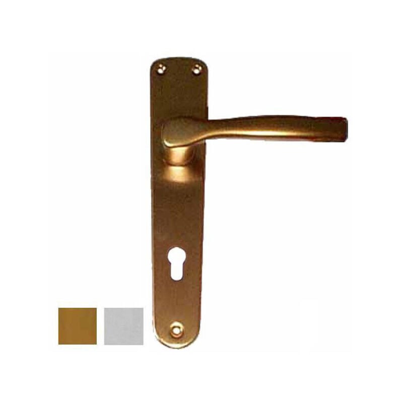 foto del prodotto maniglia gabry all arg placca 8x85 yale