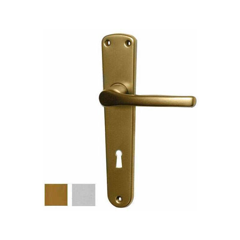 foto del prodotto maniglia gabry all bro placca 8x90