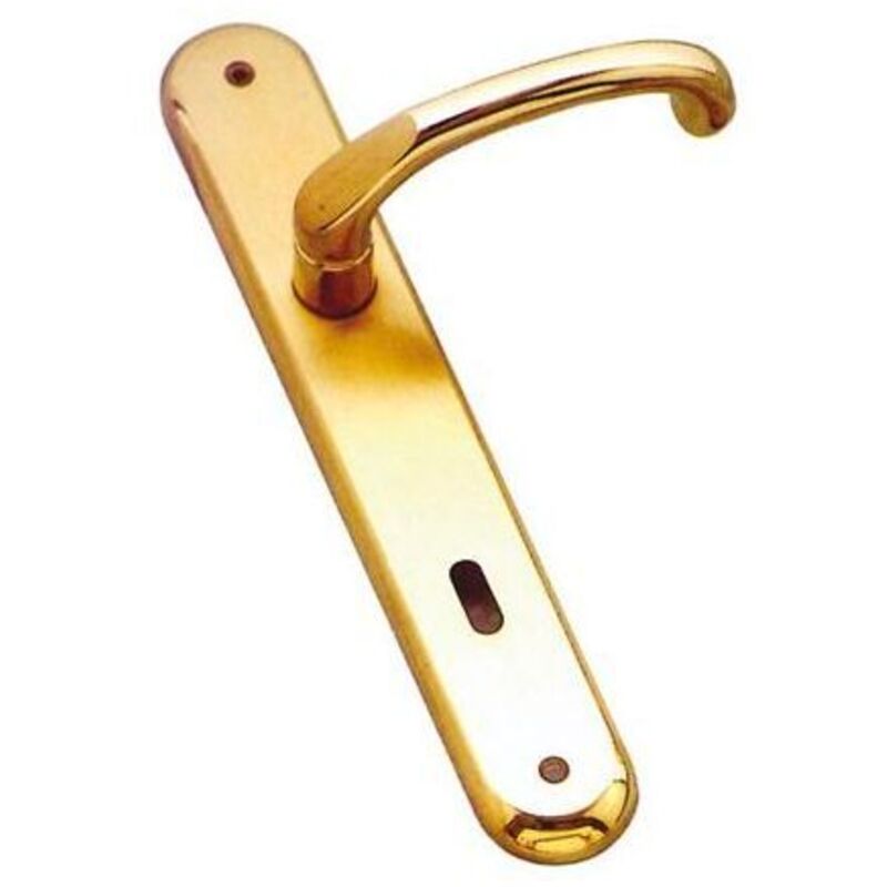 foto del prodotto maniglia giada con placca foro patent