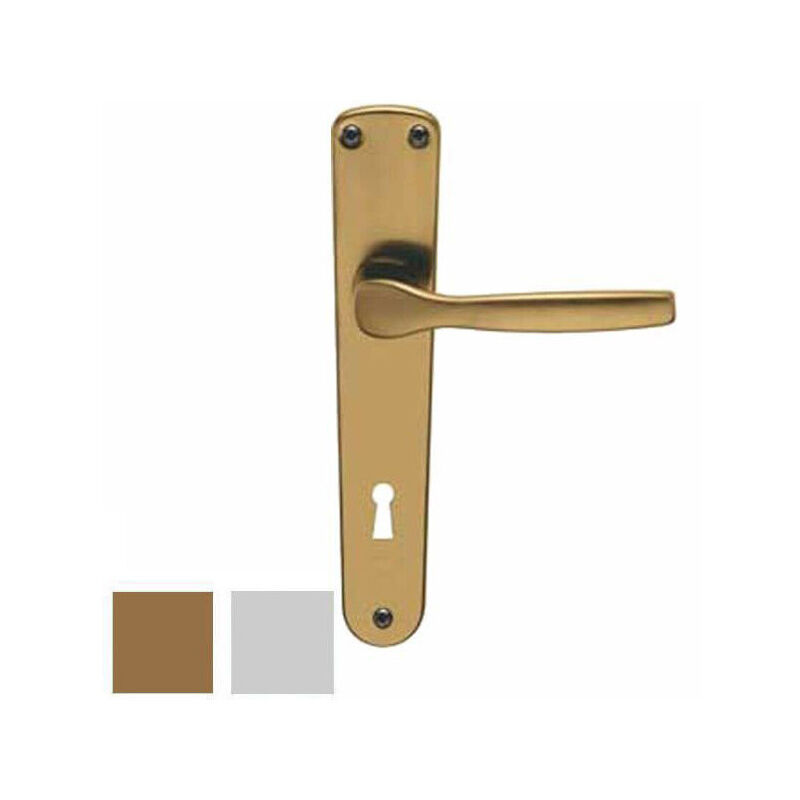 foto del prodotto maniglia ginevra all arg placca 8x70 brialma