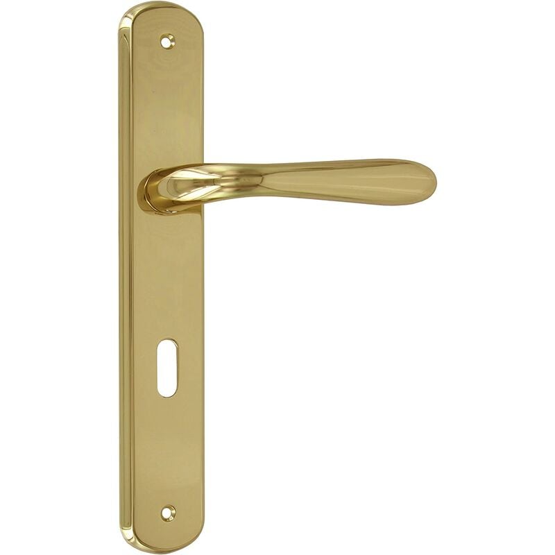 foto del prodotto maniglia goccia ottone lucido q.8 d.70