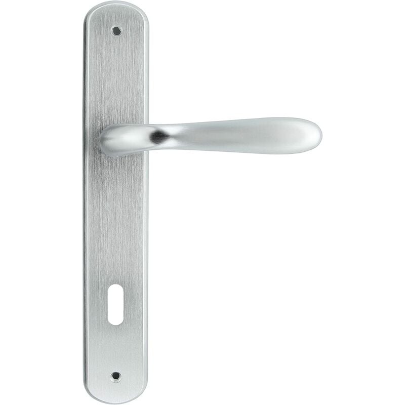foto del prodotto maniglia goccia q.8 con placca d.90 cromo satinato