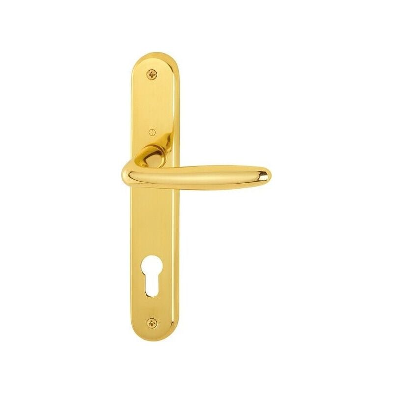 foto del prodotto maniglia in ottone lucido per porte hoppe mod roissy placca foro yale