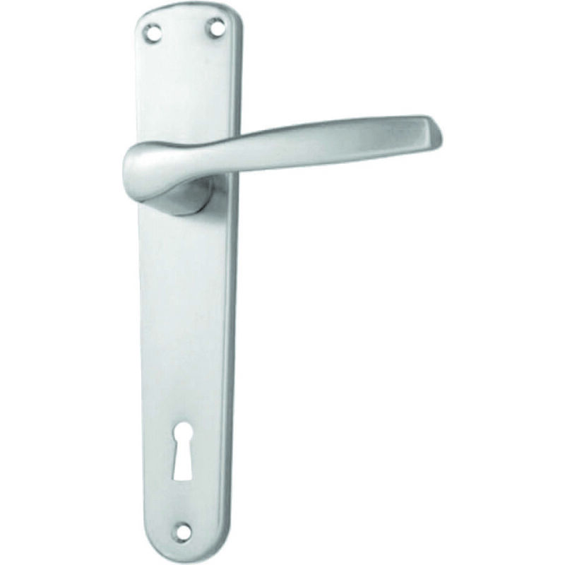 foto del prodotto maniglia modello alu con placca in alluminio argento mm.90