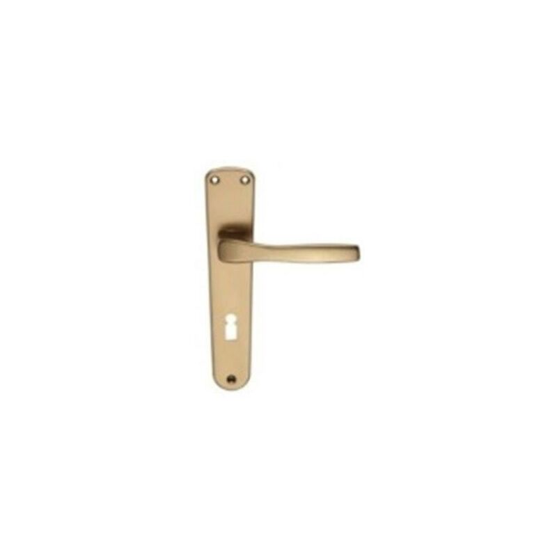 foto del prodotto maniglia placca 90 alluminio bronzo
