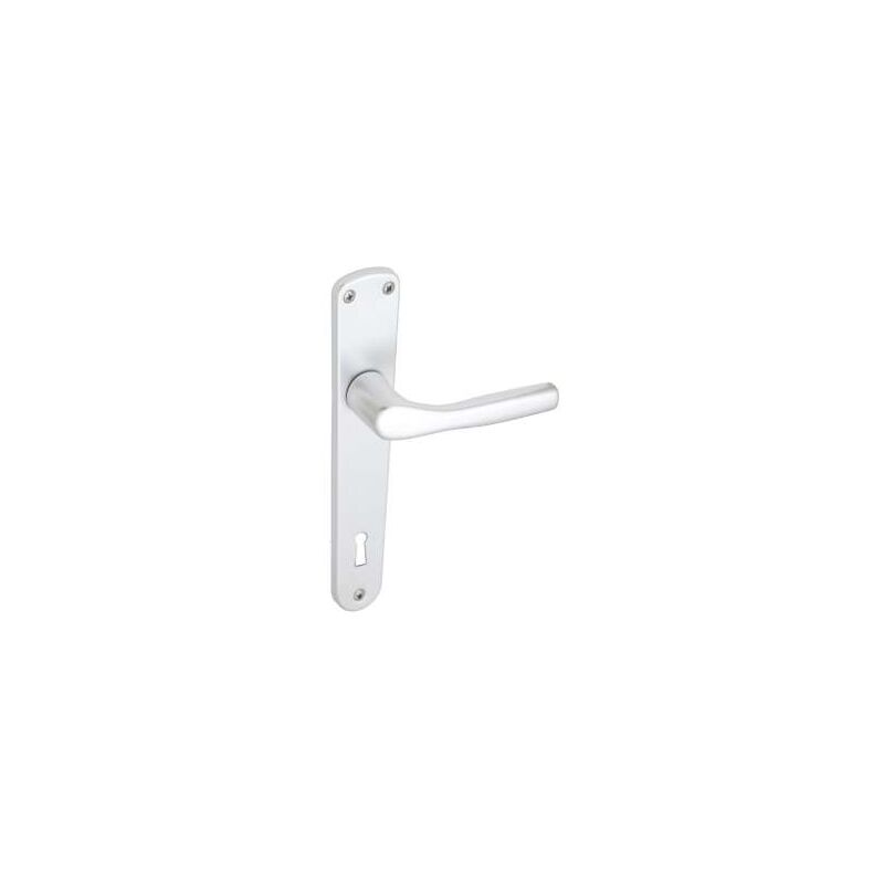 foto del prodotto maniglia placca bica argento patent 70