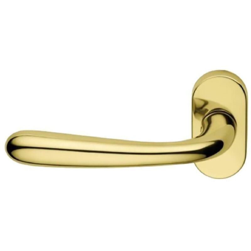 foto del prodotto maniglia porta blindata rosetta ovale goccia sx - cromo satinato