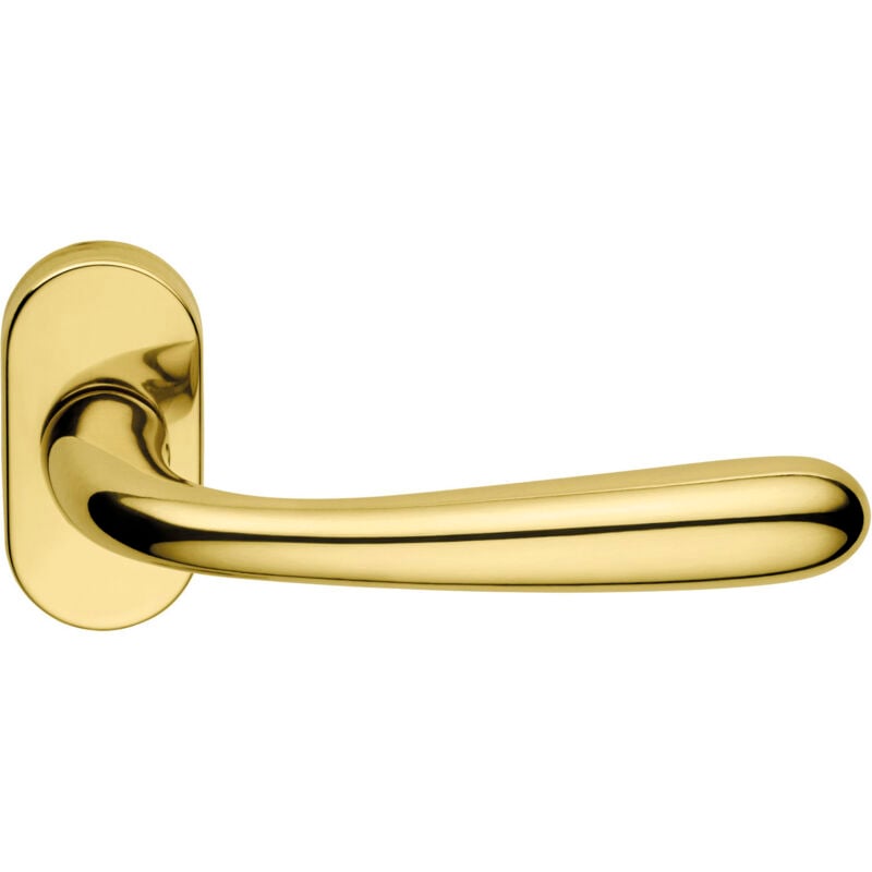 foto del prodotto maniglia porta blindata rosetta ovale goccia sx - lucido verniciato