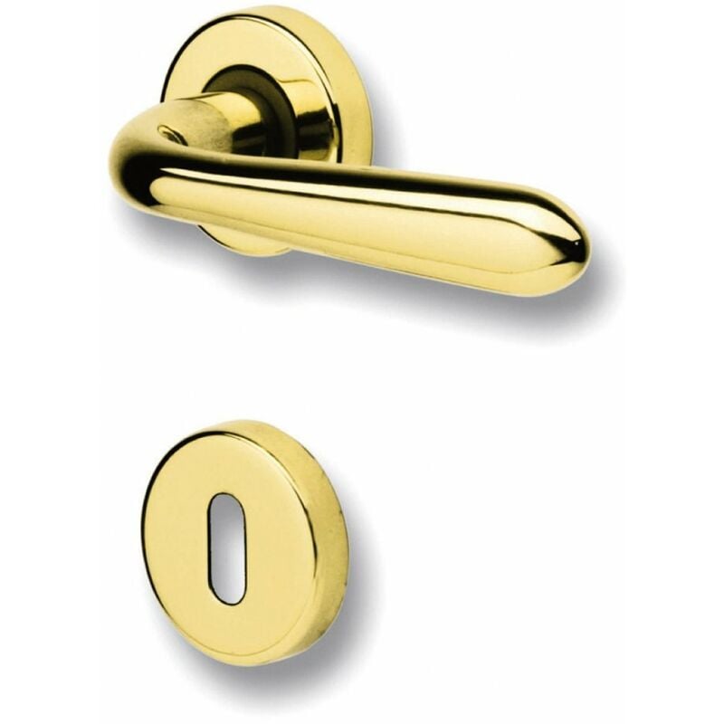 foto del prodotto maniglia porta ghidini gm05 zama ottone lucido