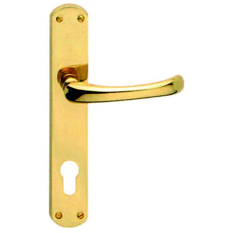 foto del prodotto maniglia rio con placca in ottone mm.90 foro yale