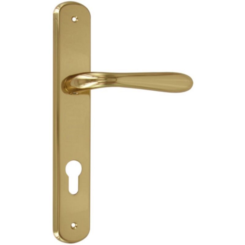 foto del prodotto maniglia serie goccia con placca in lega oro lucido quadro 8 fy maniglie