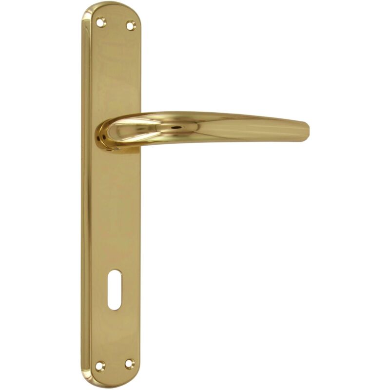 foto del prodotto maniglia torino q 8 90 oro lucido v
